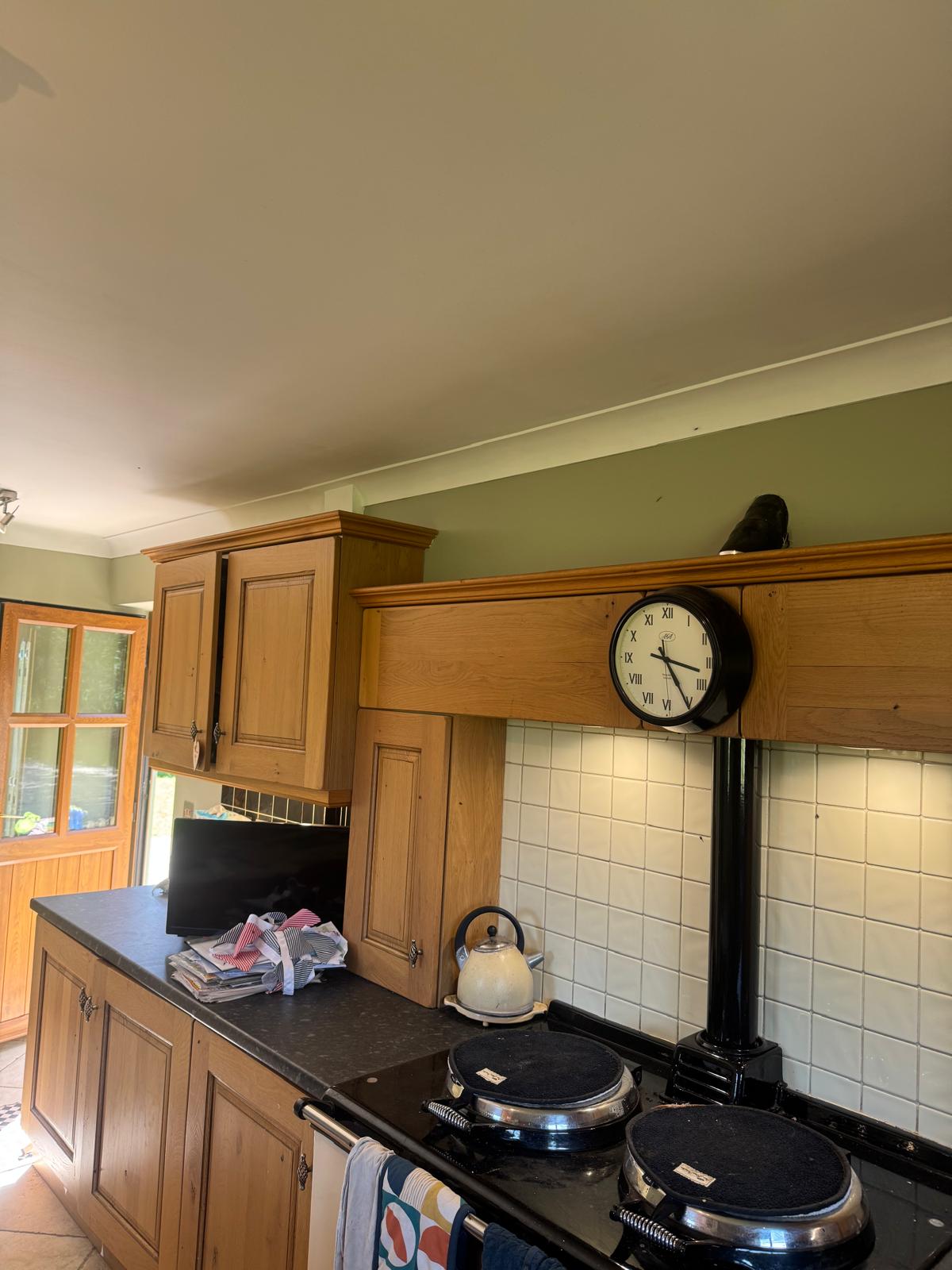 Kitchen with sage green walls and wooden cabinets